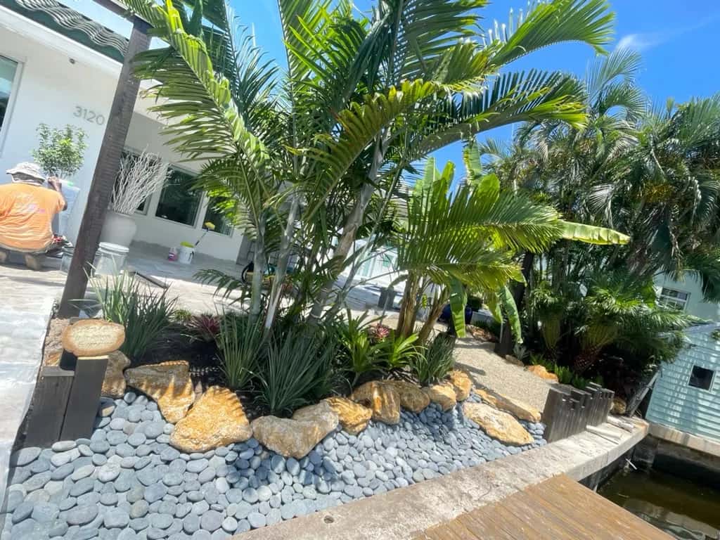 Tropical landscape with palms, river rock and boulders